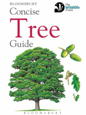 Concise Tree Guide