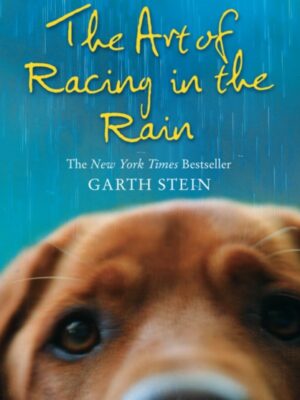 The Art of Racing in the Rain
