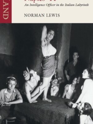 Naples '44 : An Intelligence Officer in the Italian Labyrinth