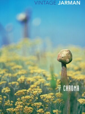 Chroma : A Book of Colour - June '93