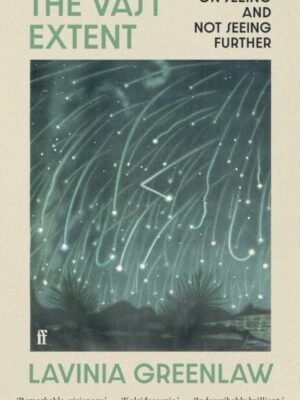 The Vast Extent : On Seeing and Not Seeing Further