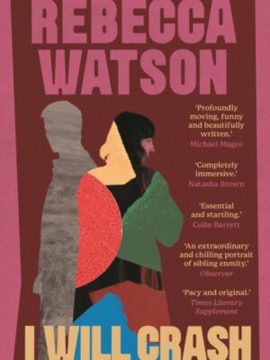 I Will Crash : 'A one-of-a-kind storyteller.' OBSERVER