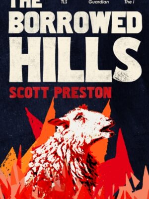 The Borrowed Hills : 'A sucker-punch of a novel' Guardian