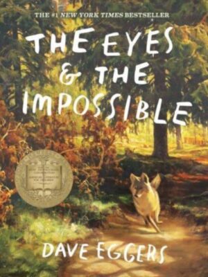 The Eyes and the Impossible
