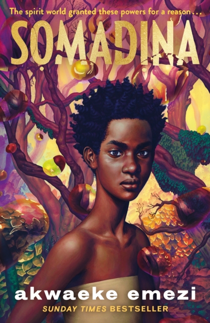 Somadina : An epic YA fantasy from Sunday Times bestselling author Akwaeke Emezi