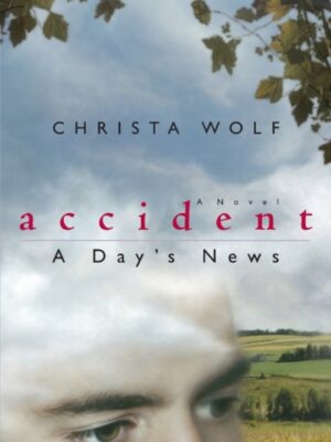 Accident: a Day's News
