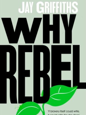 Why Rebel