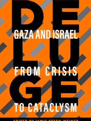 Deluge : Gaza and Israel from Crisis to Cataclysm