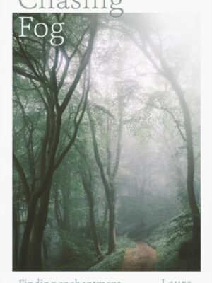 Chasing Fog