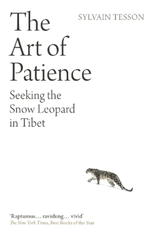 The Art of Patience: Seeking the Snow Leopard in Tibet