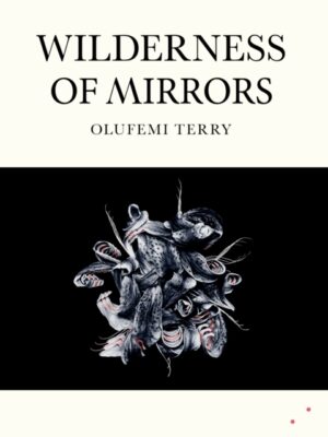 Wilderness of Mirrors